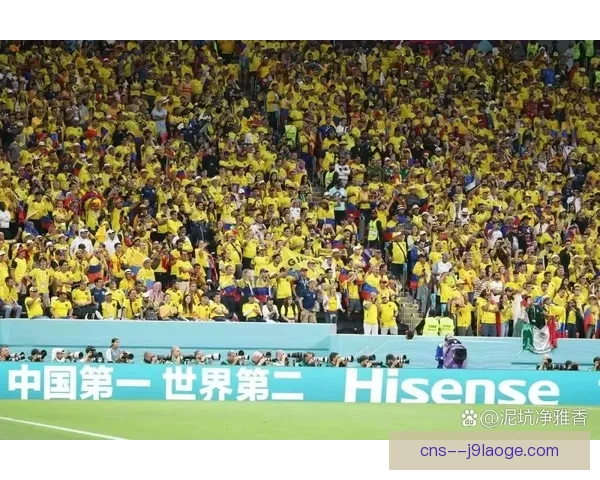2026年世界杯组委会宣布赛事安保级别提升 确保球迷与参赛者安全